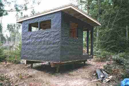 walls tarpapered and roof done