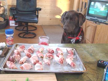 dog waiting for lunch on the porch
