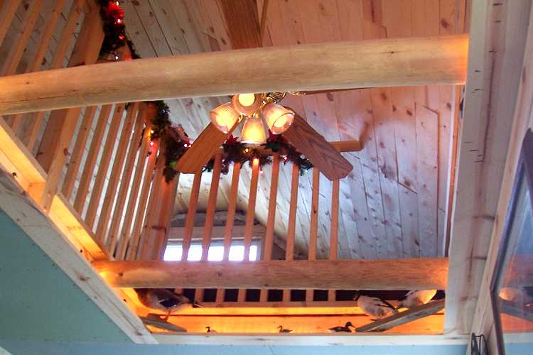 looking from below up into the open area of the loft