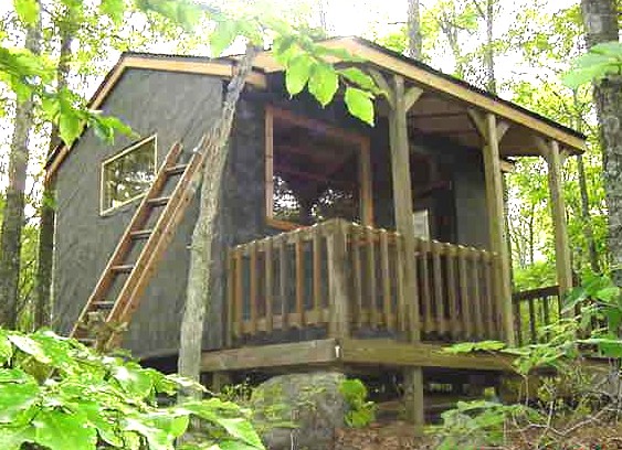 small rustic cabin in the woods with a covered porch, log railing and a ladder up the side wall