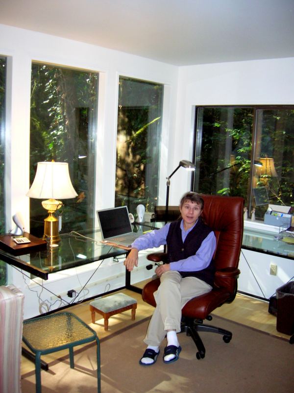 the finished office looking in from the entry door, with a glass desk along a row of tall windows