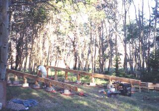 built up 2x10 beams set on the 6x6 posts