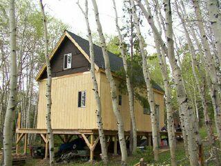 the 14x24 cabin in June 2002 with T1-11 siding